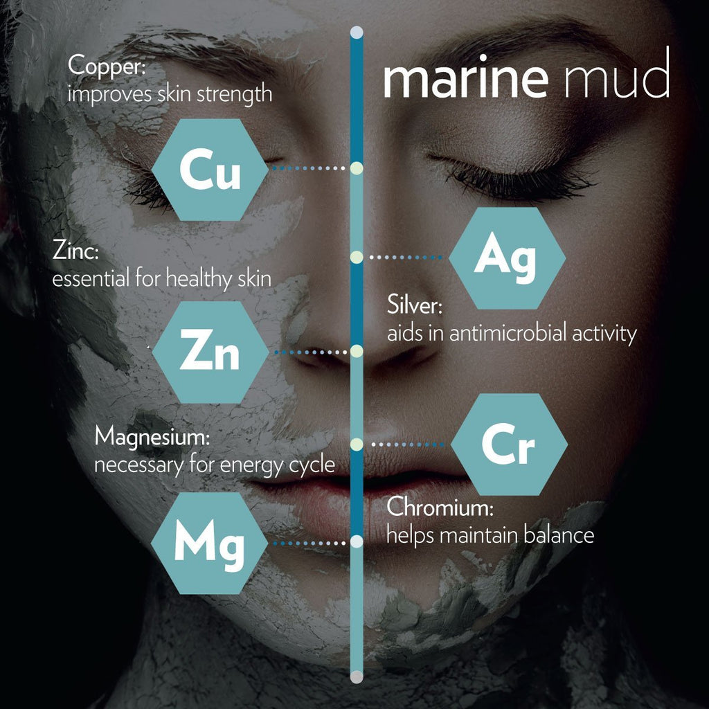 Epoch Glacial Marine Mud